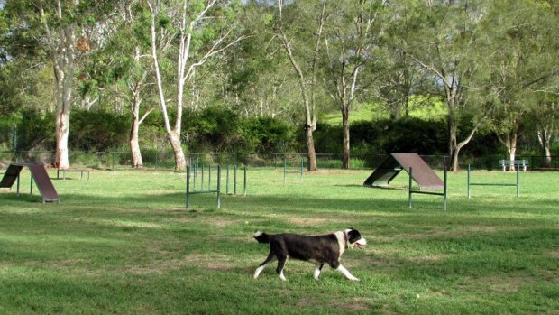 Colmslie Recreation Reserve.