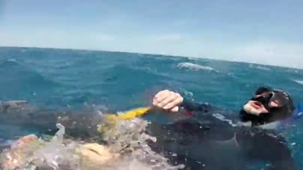The 68-year-old diver was rescued from the ocean more than 50km from where he went missing during a solo diving trip to the Yongala wreck, east of Townsville.