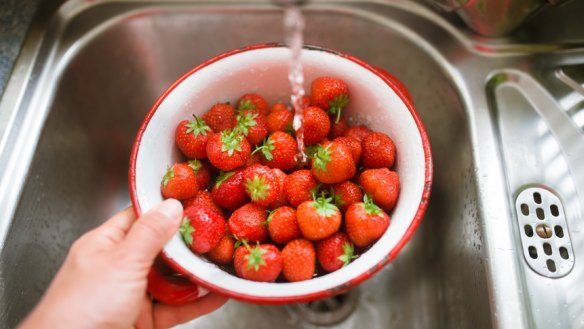 Despite common misconception, it was demonstrated that kitchen environments host more microbes than toilets.