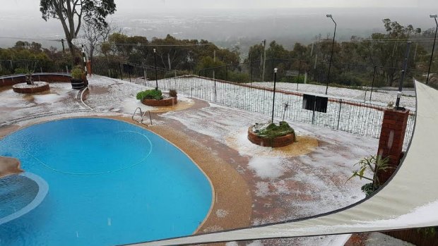 It's been a frosty winter for WA and so far spring has been just as chilly. 