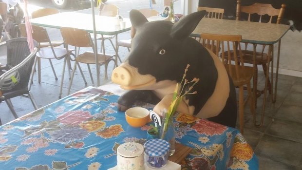 The owners and staff of Little Oink cafe in Cook were overwhelmed with support after thieves broke into the shop twice in one week in March.