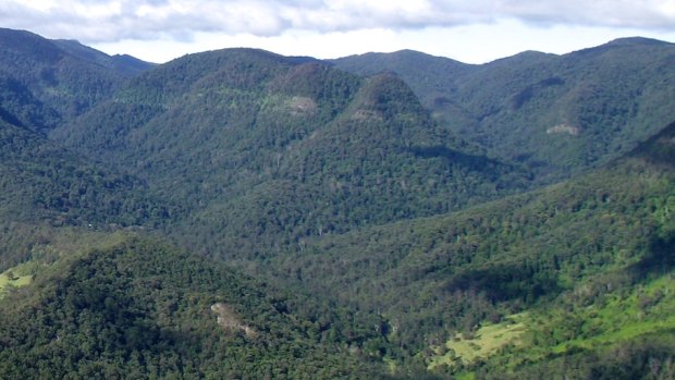 Search resumes for man missing in Lamington National Park. 