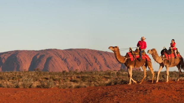 Unique view: Try a visit by camel.
