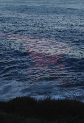 Red tide near Bronte, Sunday evening.
