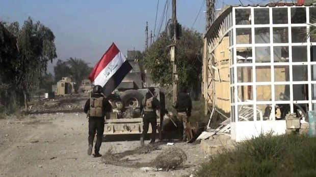 Iraqi security forces hold a national flag as they enter the southern neighbourhoods of Ramadi this week.