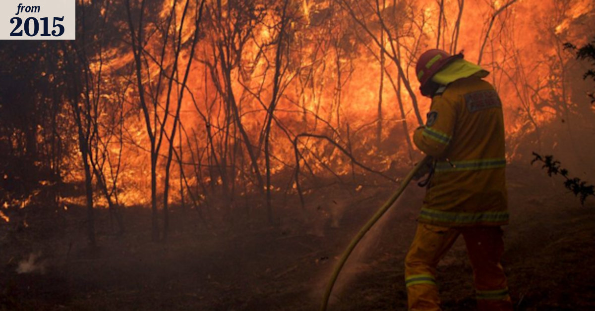 Summer Herald: Blue Mountains bush fires