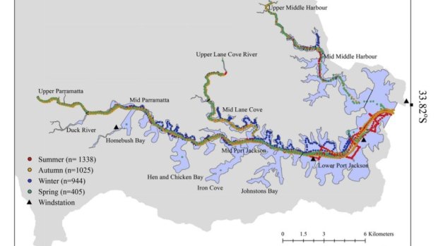 Ms Tanner took more than 3500 measurements throughout the harbour system for her study.