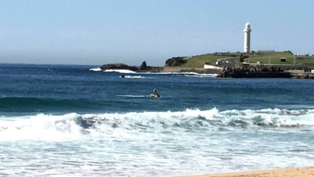 Surf life saving divers search the seas for a missing swimmer, towed by a colleague on a jetski at North Wollongong. 