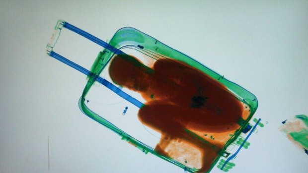 An X-ray image, provided by the Spanish Guardia Civil in Ceuta,  shows eight-year-old Adou Ouattara hidden in a suitcase.
