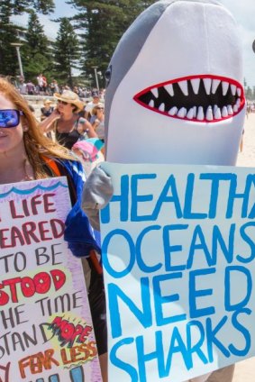 A shark protester has threatened the WA Premier during a live radio show. 