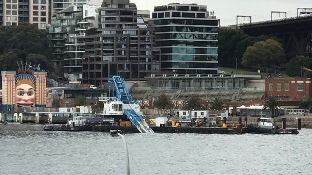 A crane has collapsed into Sydney Harbour near the iconic Luna Park. 