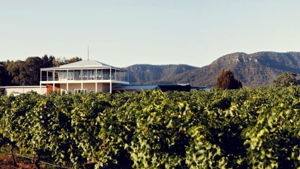Scarborough Wine Co has beautiful grounds and views of the Hunter's Brokenback Mountains.