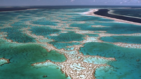 Lady Elliot Island, sometimes known as 'Manta Heaven', at the southernmost point of the Great Barrier Reef.