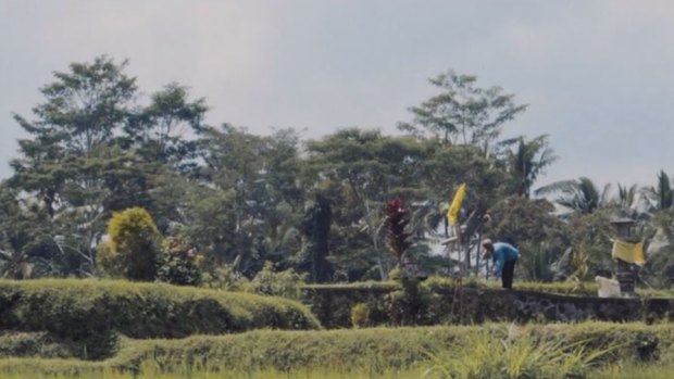 Bali's rice fields are a big tourist attraction - but they're also in the sights of developers.