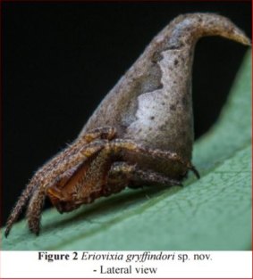 A new spider has been named after the Hogwart's sorting hat in the Harry Potter novels. It is called eriovixia gryffindori. 