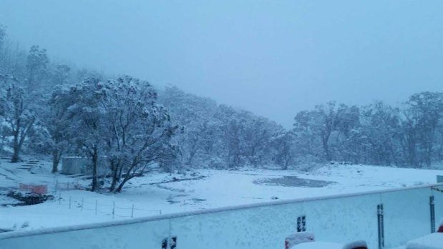 Corin Forest saw spring snow falls of up to 10 centimetres overnight.
