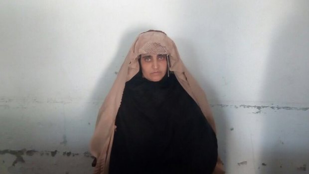 'Afghan Girl' Sharbat Gula in remand in Pakistan on October 26.
