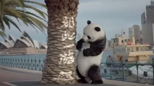 A still from a China state TV film "Bad Panda", which teaches Chinese tourists to behave well overseas. Here Bad Panda sprays "I was here" near the Sydney Opera House.