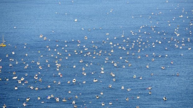 An aerial view of the thousands of swimmers making the Rottnest crossing.