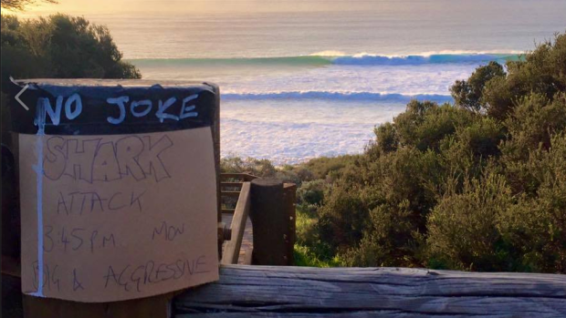 The makeshift sign put up near Injidup Beach following the attack, to warn fellow surfers.