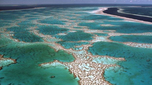 Lady Elliot Island.