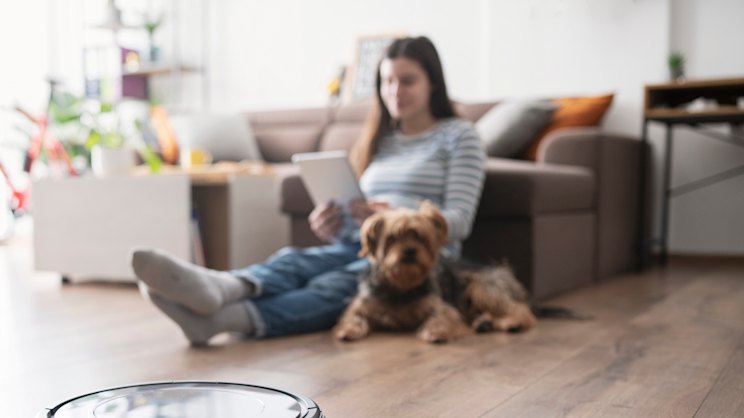 smh.com.au - Adam Turner - Fancy a self-cleaning house? Let a high-end robot step in