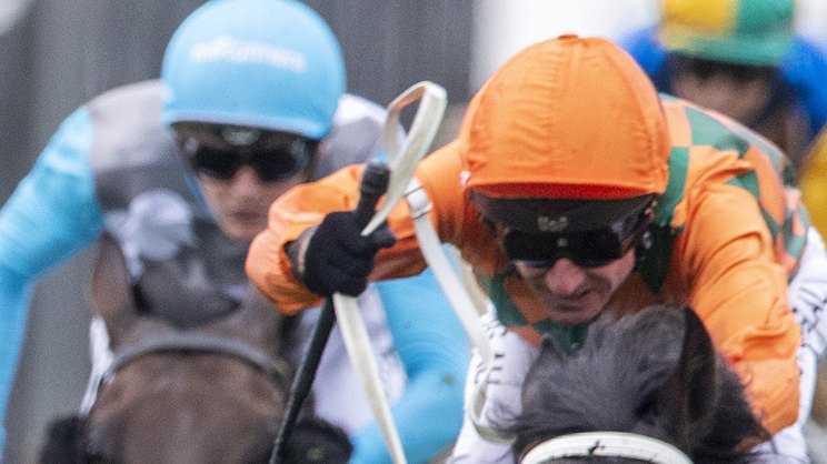 smh.com.au - Ray Hickson - Race-by-race tips and analysis for Warwick Farm on Wednesday