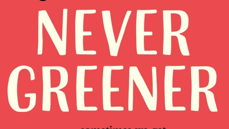 Never Greener Review Ruth Jones First Novel Is A Hackneyed Romance