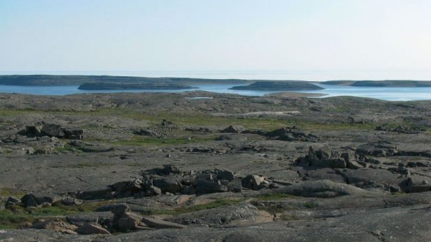 The fossils were found in a remote area of Canada's Nunavik region.