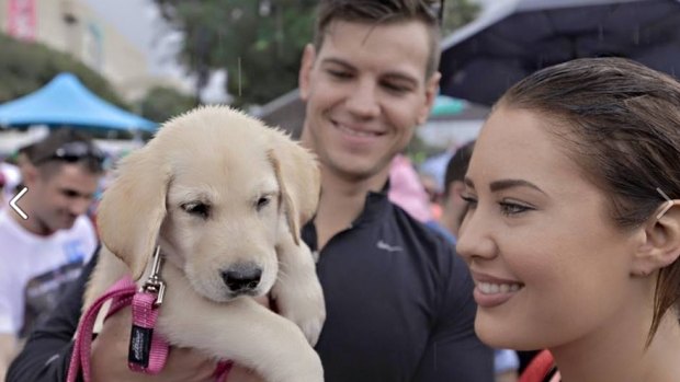 Puppies stole the show at the Million Paws Walk across Queensland.