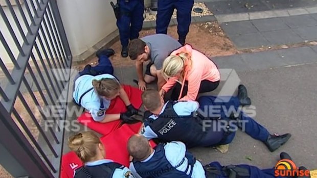 Police took the wallaby into custody at the Conservatorium.