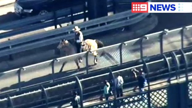 Inverell beef farmer Glenn Morris rides Hombre across lane eight of the Sydney Harbour Bridge sending a message to the city about protecting the land.