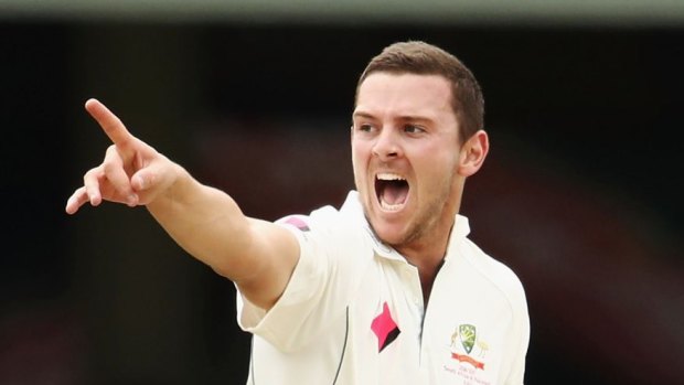 On the front foot: Josh Hazlewood believes CA's offer to state-based cricketers has been disrespectful.
