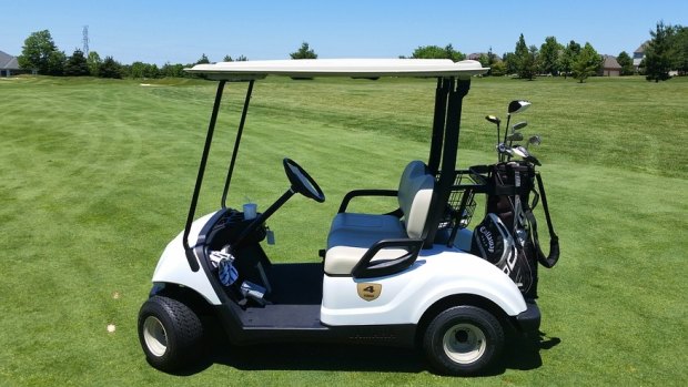 The man died of injuries suffered from falling out of a golf buggy.