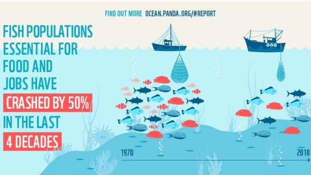 A scale of the decline in marine life from 1970 to 2010.