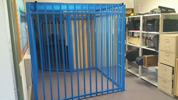 The review was sparked by national outrage after a Canberra school erected a cage for a 10-year-old boy with autism.