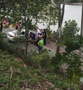 A car crashed off Coronation Drive, stopping just short of the Brisbane River.