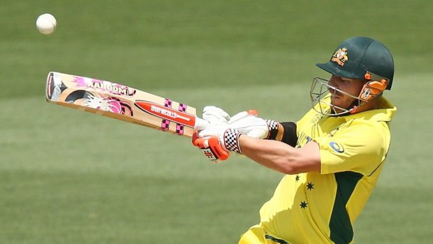 Hitting out: Australian opener David Warner.