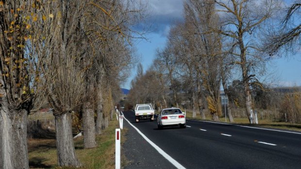 Eurobodalla Shire Council’s Director of Infrastructure Services Warren Sharpe believes the 100km/h speed limit  outside Braidwood could be safely reinstated without removing the "highly valued" trees.
