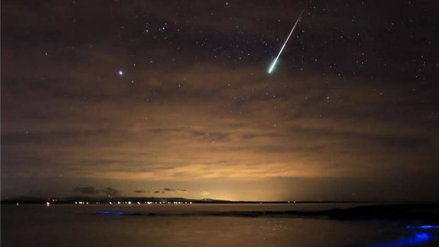 It's not every day you get to see, let alone photograph, bioluminescence and then throw a meteor into the equation. But that is what Vincentia photographer Maree Clout has managed to capture.