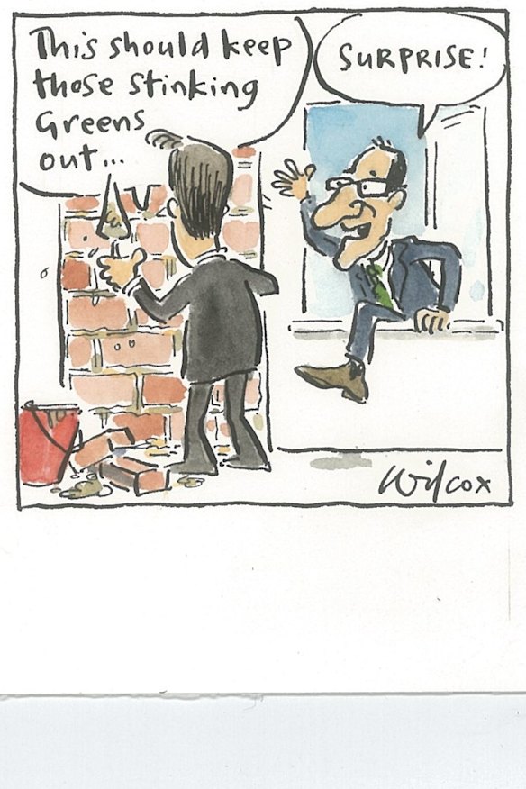 <i>Illustration: Cathy Wilcox</i>