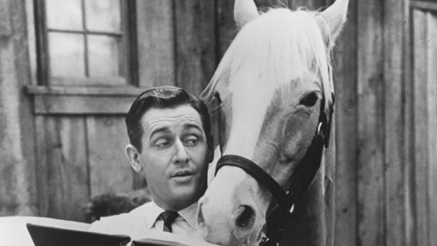 Alan Young as Wilbur Post with co-star Mister Ed - no peanut butter was used in the filming of this show. 