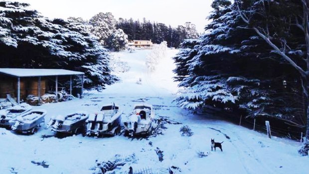 Tinnies in the snow ... the scene at Margate, south of Hobart.