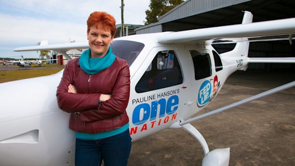 Pauline Hanson poses in front of the One Nation plane during her 'Fed Up' tour.