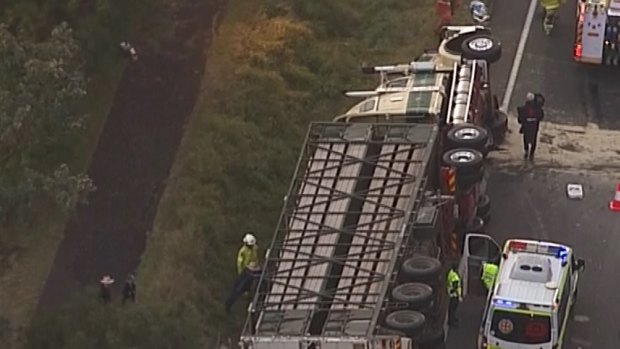 The cattle truck rolled over on the Warrego Highway.