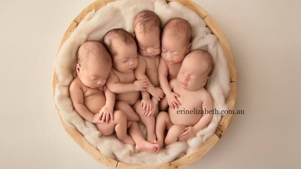 The cutest bundle: Tiffany, Penelope, Allie, Beatrix and Keith need a staggering amount of nappies.