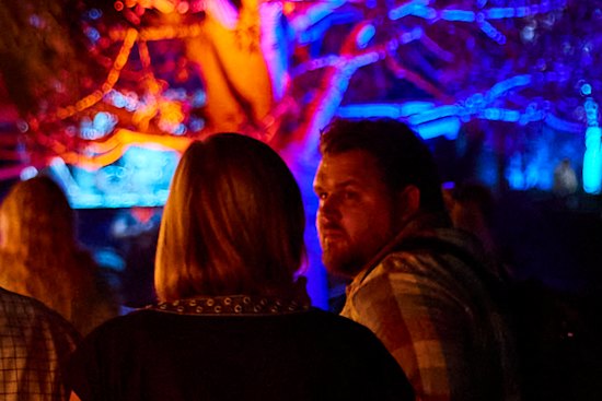 Afterglow lights up the City Botanic Gardens.