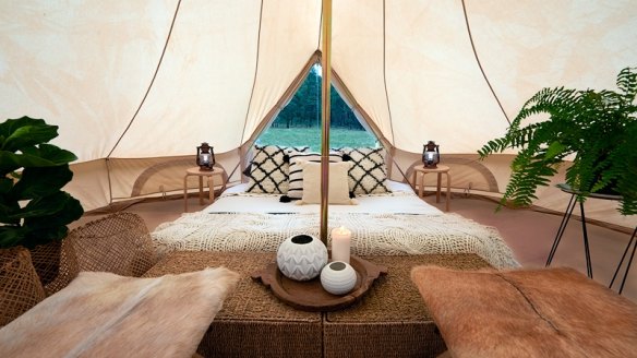 The glamping tents at WILDfest, included in the premium remote glamping package. 