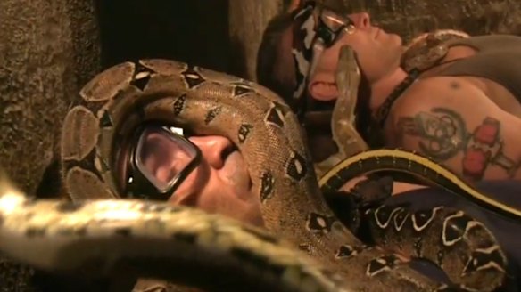 Anthony Mundine attracted the snakes more so than Danny Green.