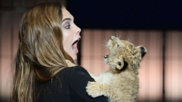Model Cara Delavigne poses with a lion cub for an advertising campaign.